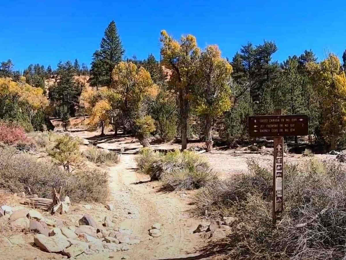 Barney Cove ATV Trail-NPS33014 photo 2