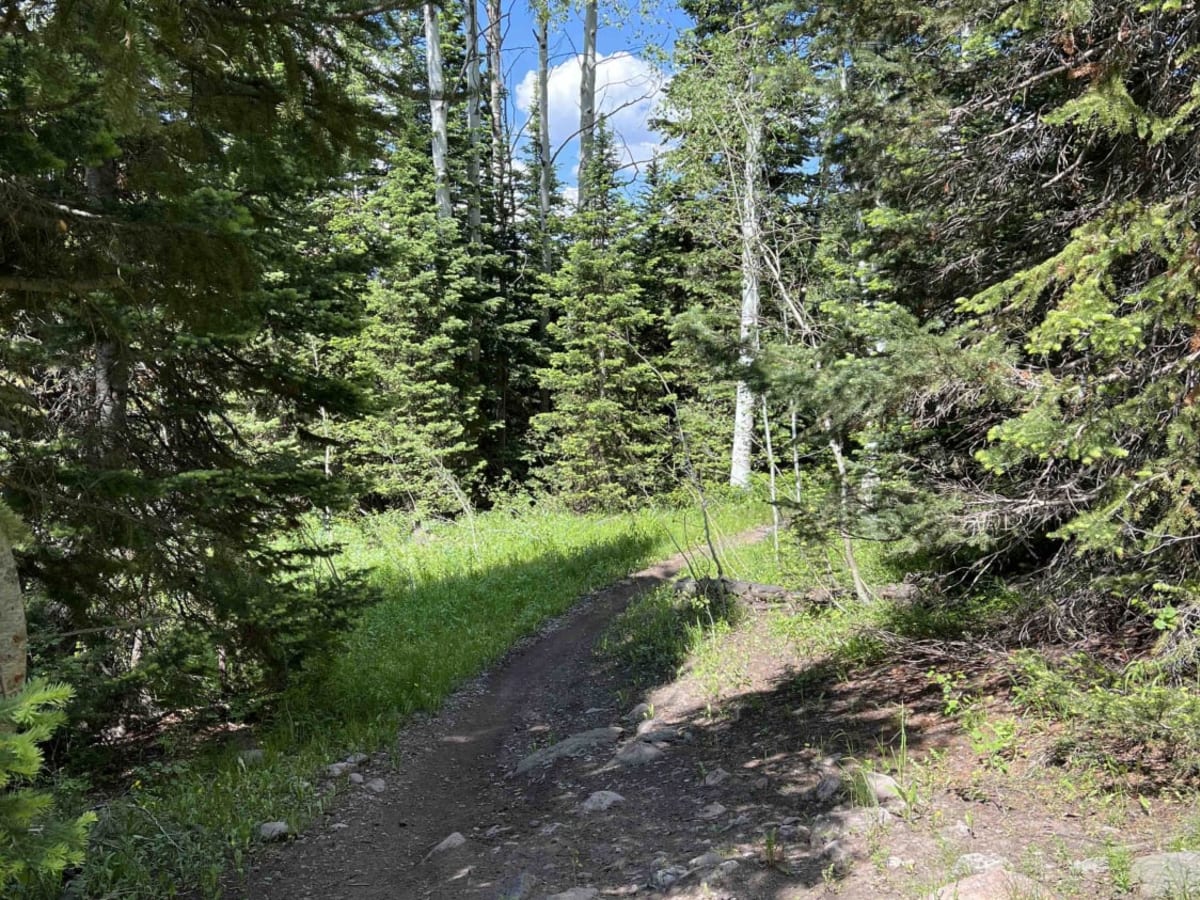 Willow Hollow Ridge photo 2