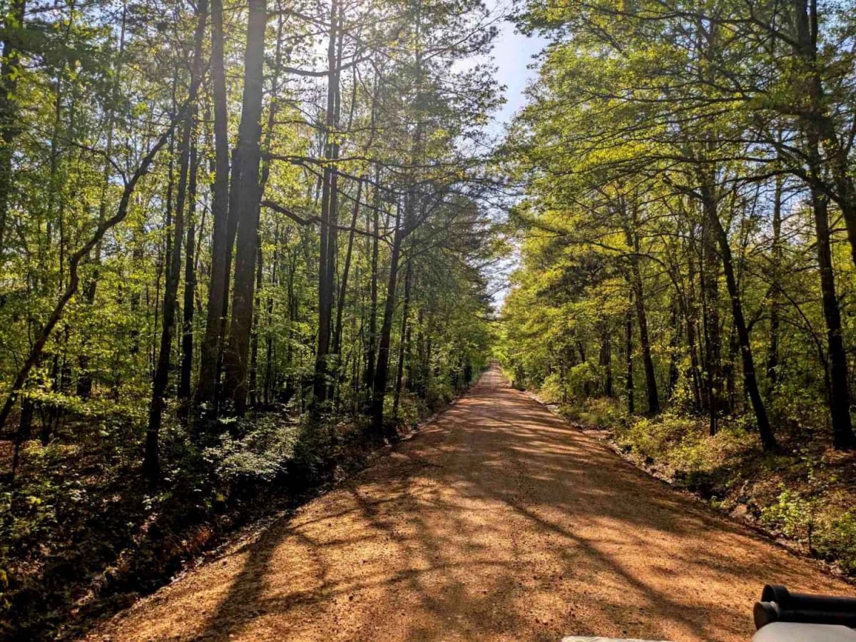 Skipjack Road photo 2