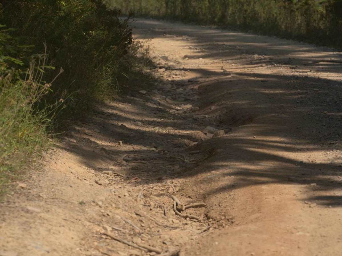 Crooked Ridge - FS 258 trail photo