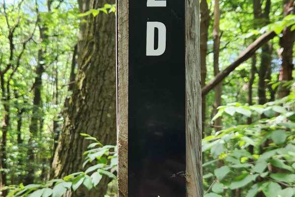 Trail 2D - Rock Run Recreation Area