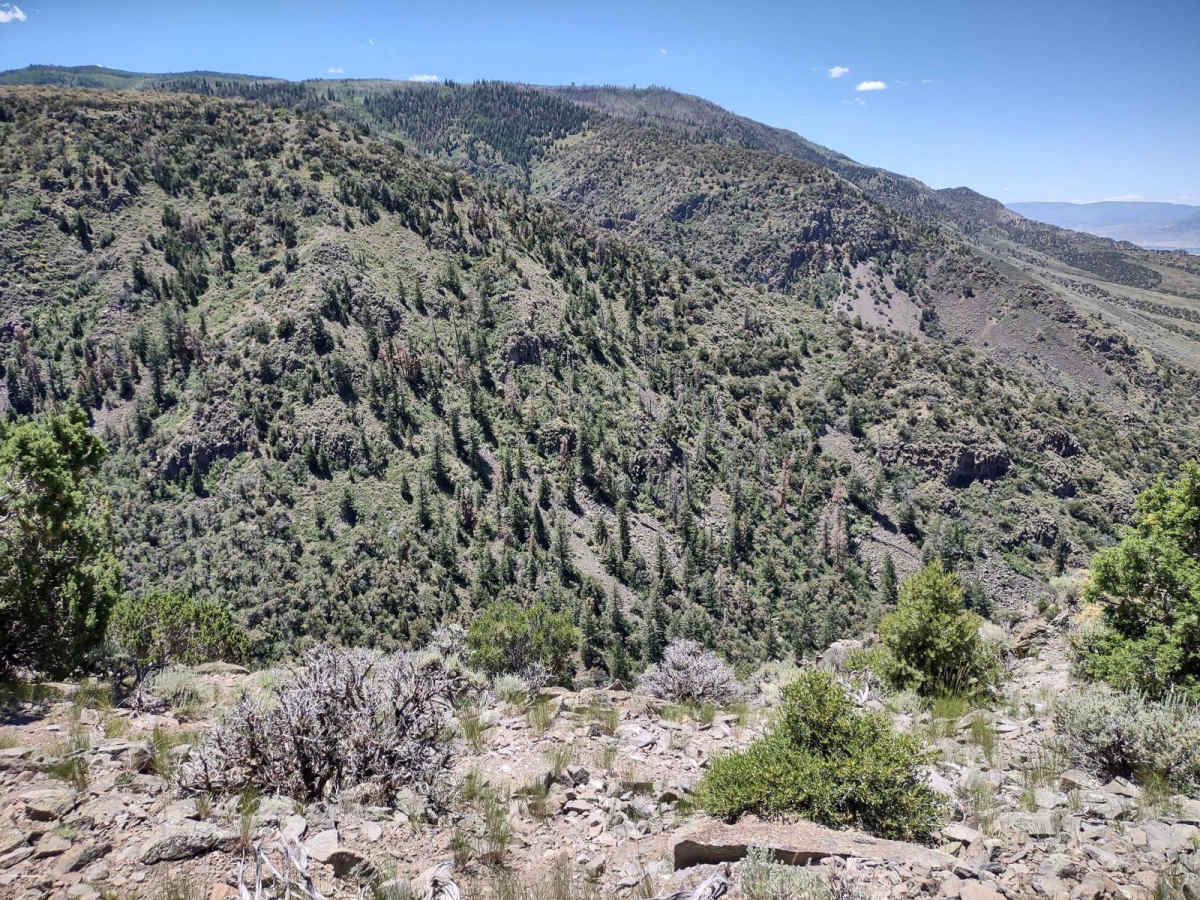 Lower Rock Canyon Overlook - FS 4950 trail photo