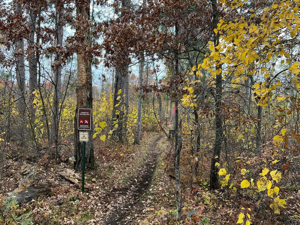 Finn Lake Loop photo 6