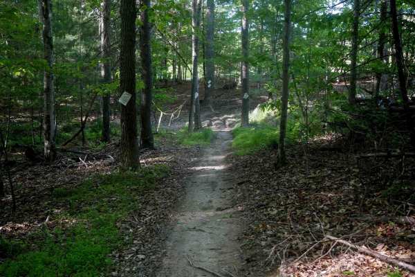 Single Track 3