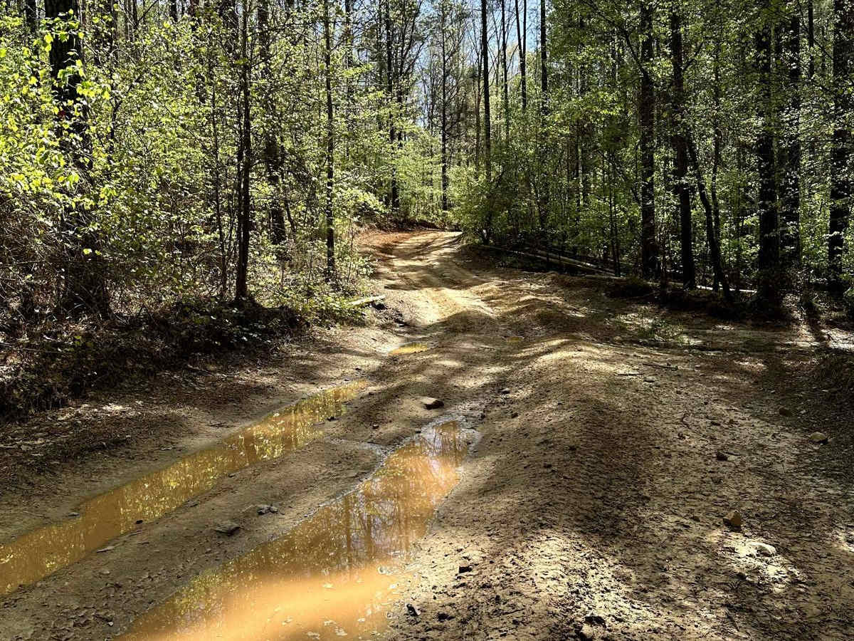 Trail 23 photo 3