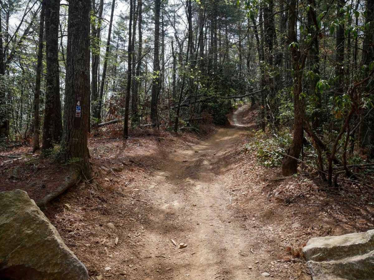 Trail 4 Kirby's Loop photo 4