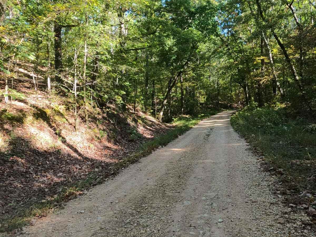 Colson Hollow Road - FS 169 photo 5