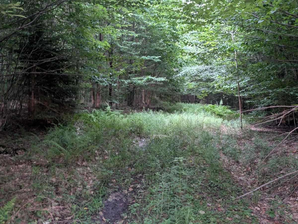 Albert Marsh Hill Road photo 3