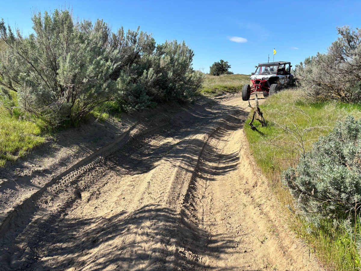 Wilderness Road photo 6