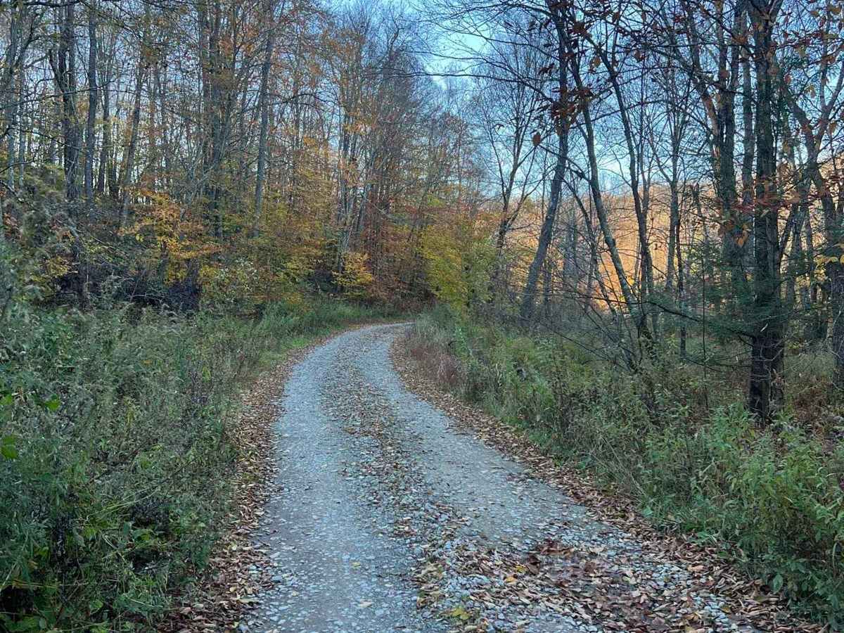 Plank Road photo 6