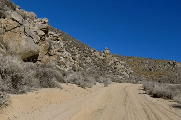Alphie Springs Wash