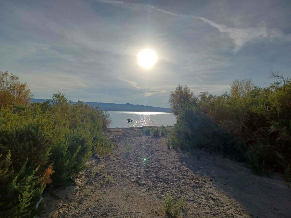 Mid Basin Cove photo 5