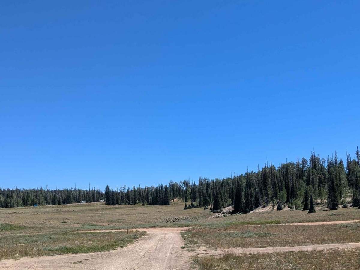 Deer Valley Loop photo 4