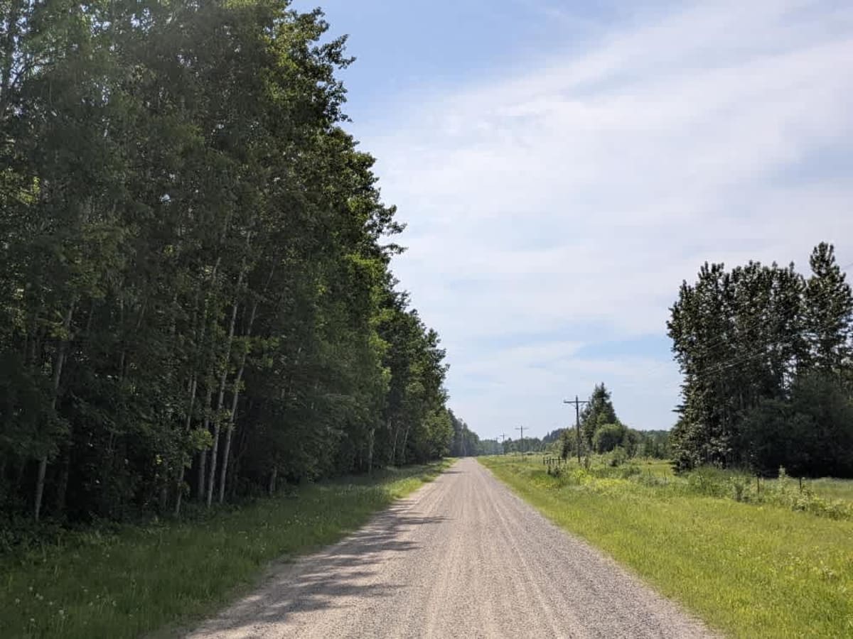 149 trail photo
