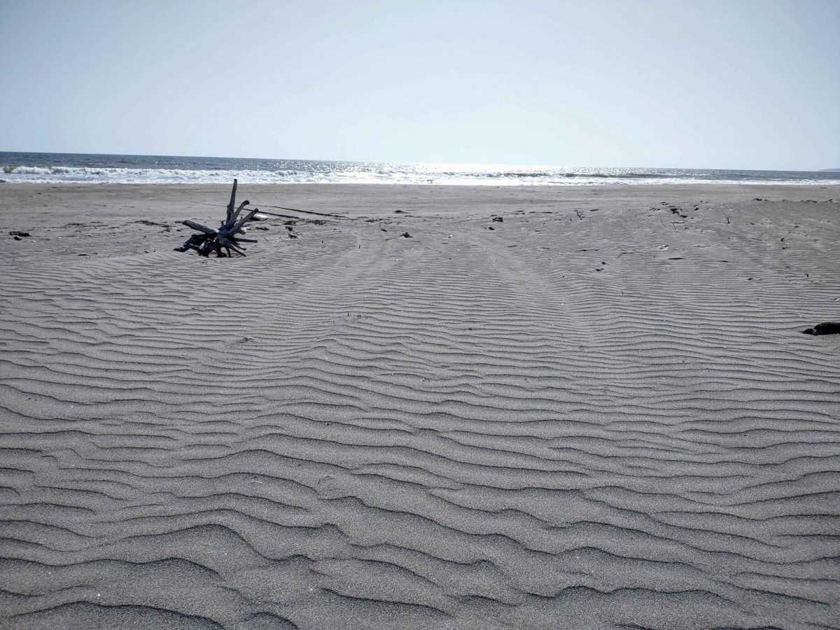 La Bocana Beach Camp photo 6
