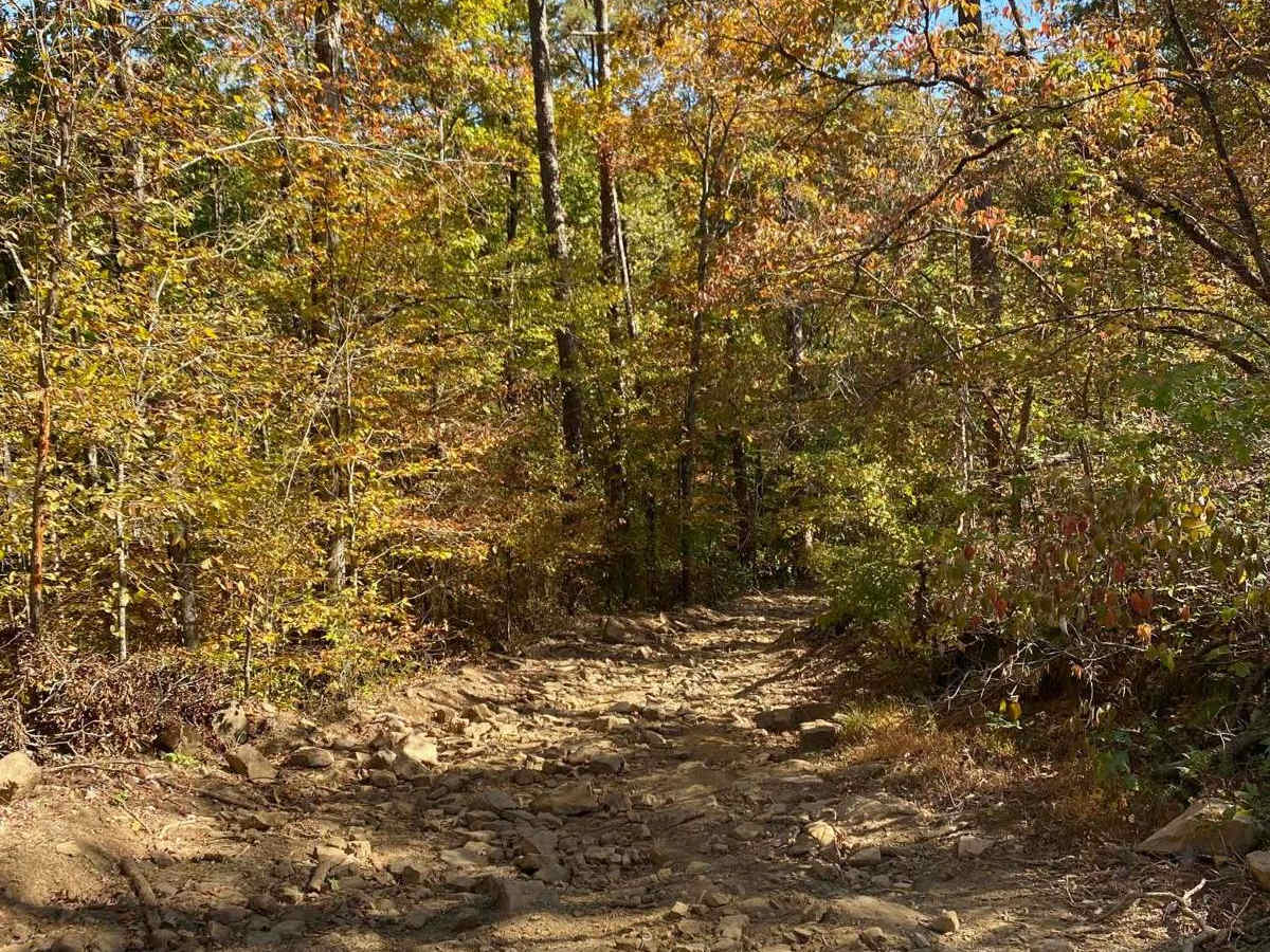 Graves Creek Road photo 4