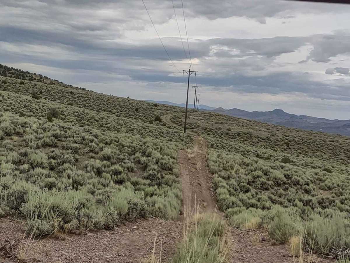 Powerline "Plus" photo 5