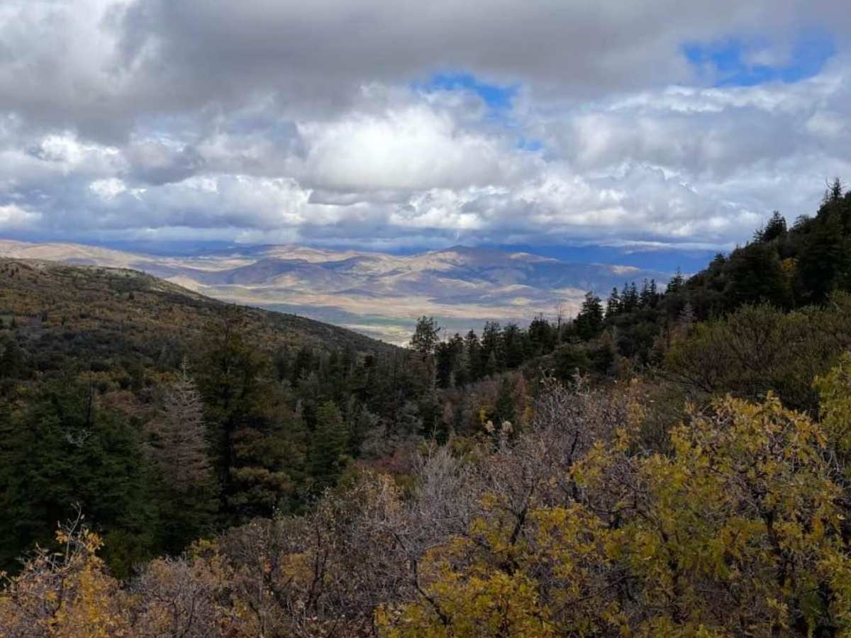 Log Canyon photo 3
