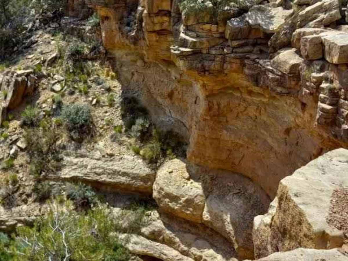 Wolverine Loop Road trail photo