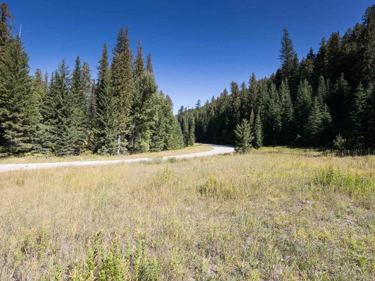 Little Joe Creek FS 282 photo 3