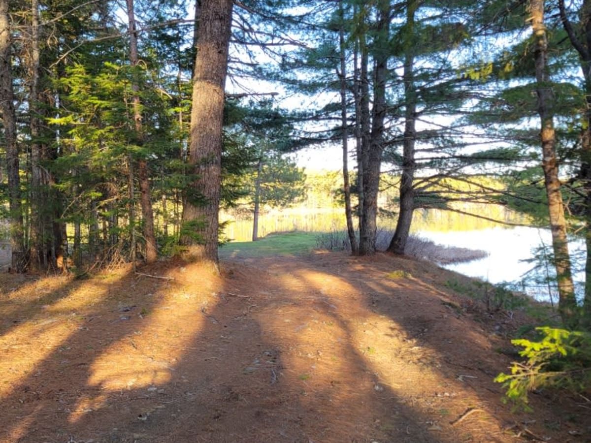 Oxhead Lakes Trail photo 4