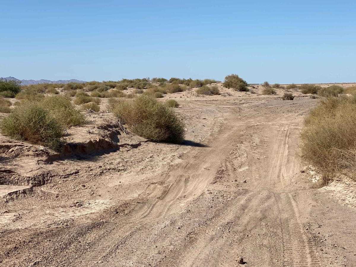 Salt Flats Loop photo 5