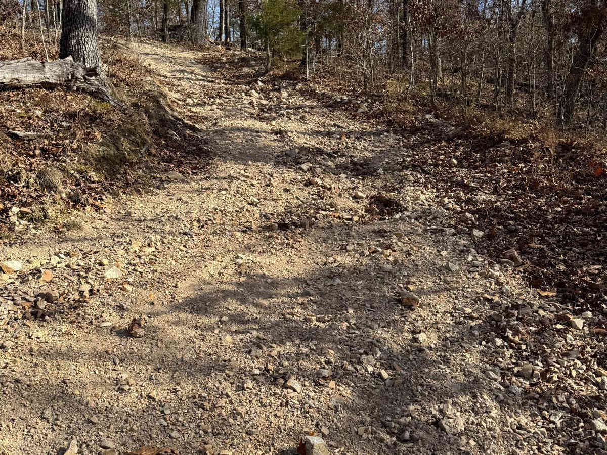Green 252 trail photo