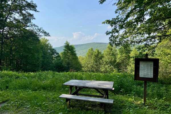 Trout Run Road