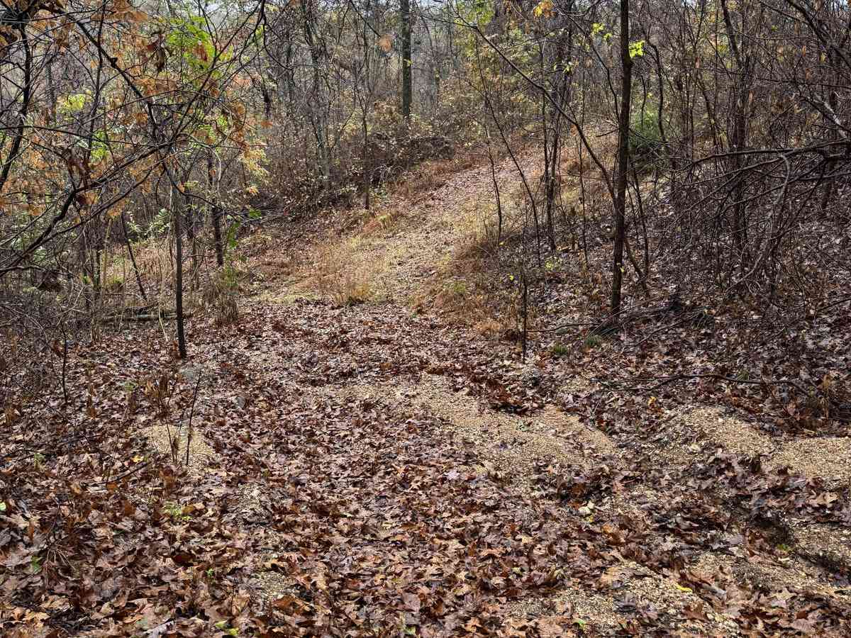 Yellow 78 trail photo
