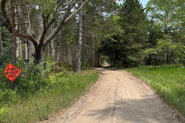 Betsie Road