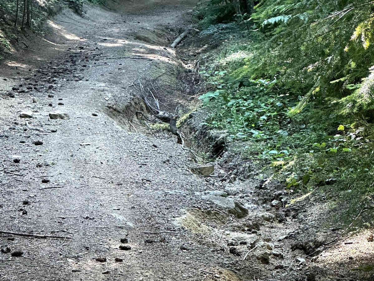 Cave Creek Trail photo 3