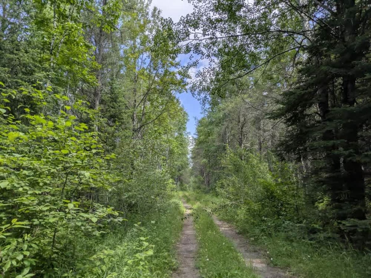 1211 trail photo