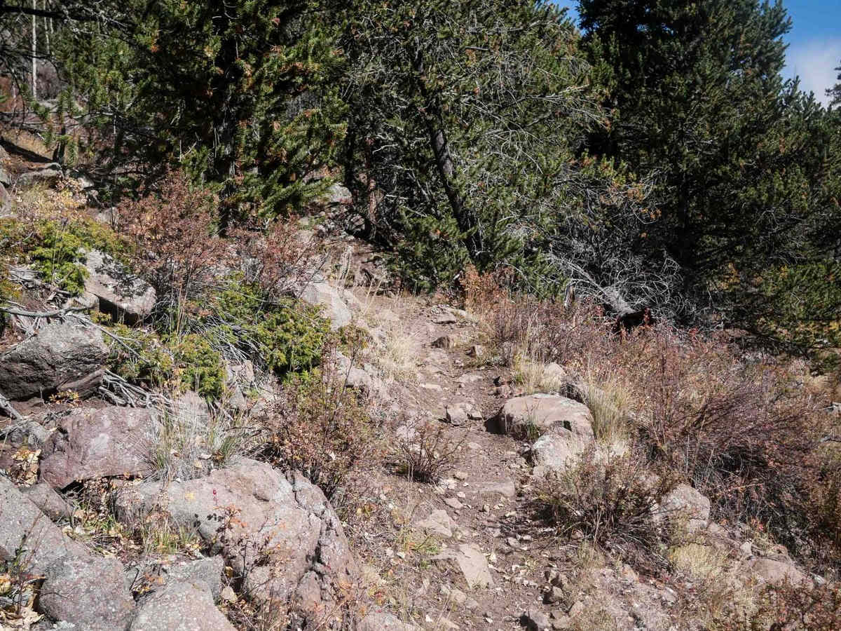 La Garita Creek Single Track photo 2