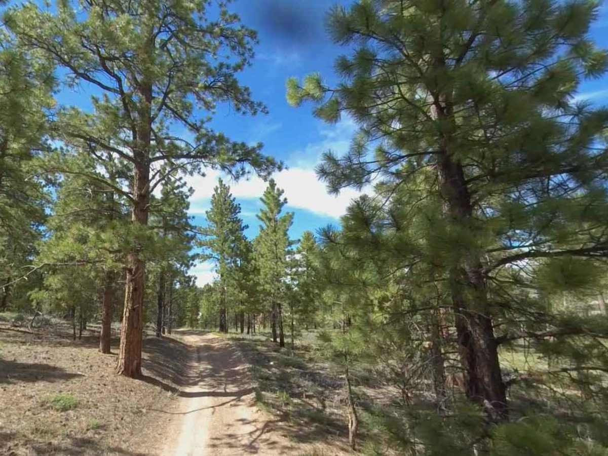 Peterson Point-NFR30697 photo 5