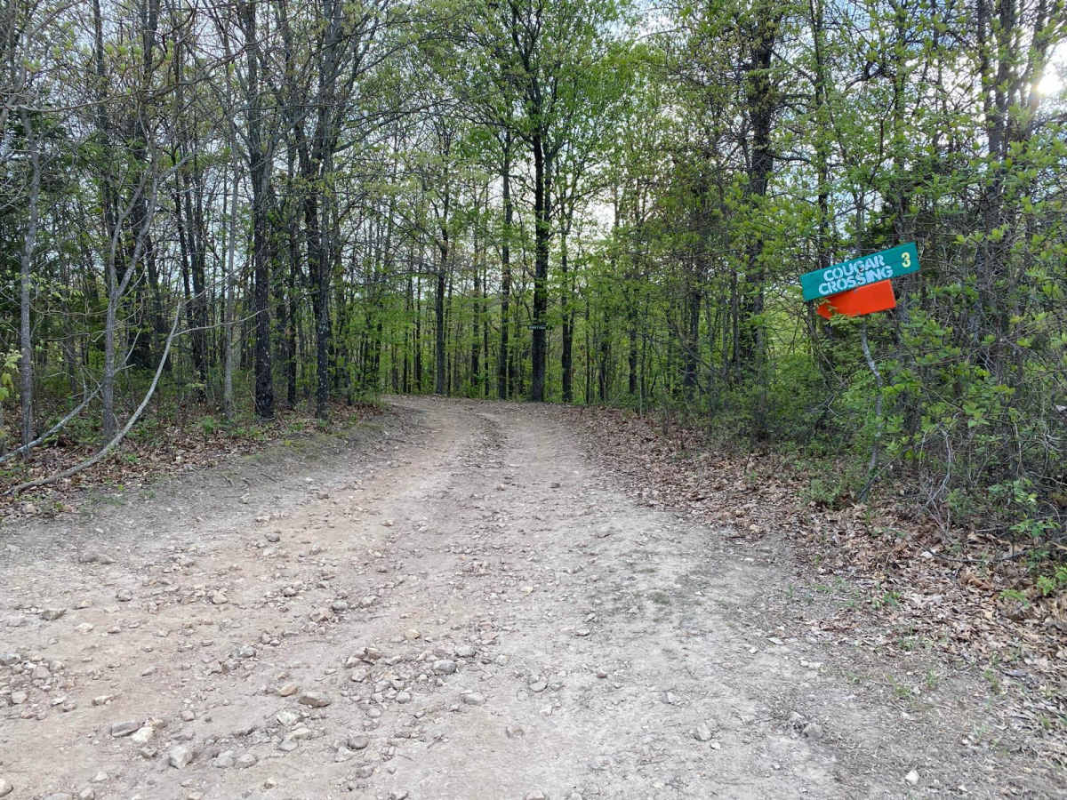 Cougar Crossing photo 2