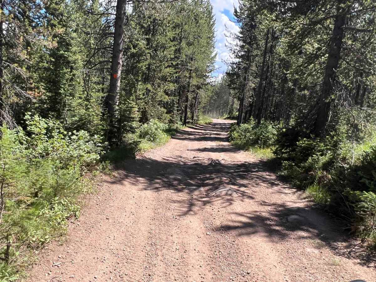 Slab Pile Road (1727) photo 5