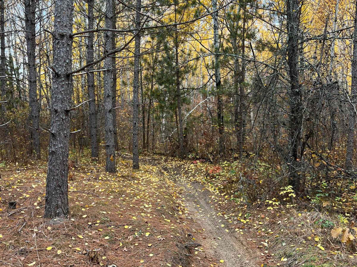 Circle Farm Trail photo 6