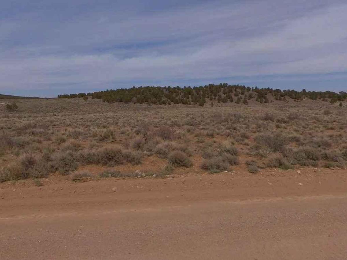 Acoma-FR30017 photo 6
