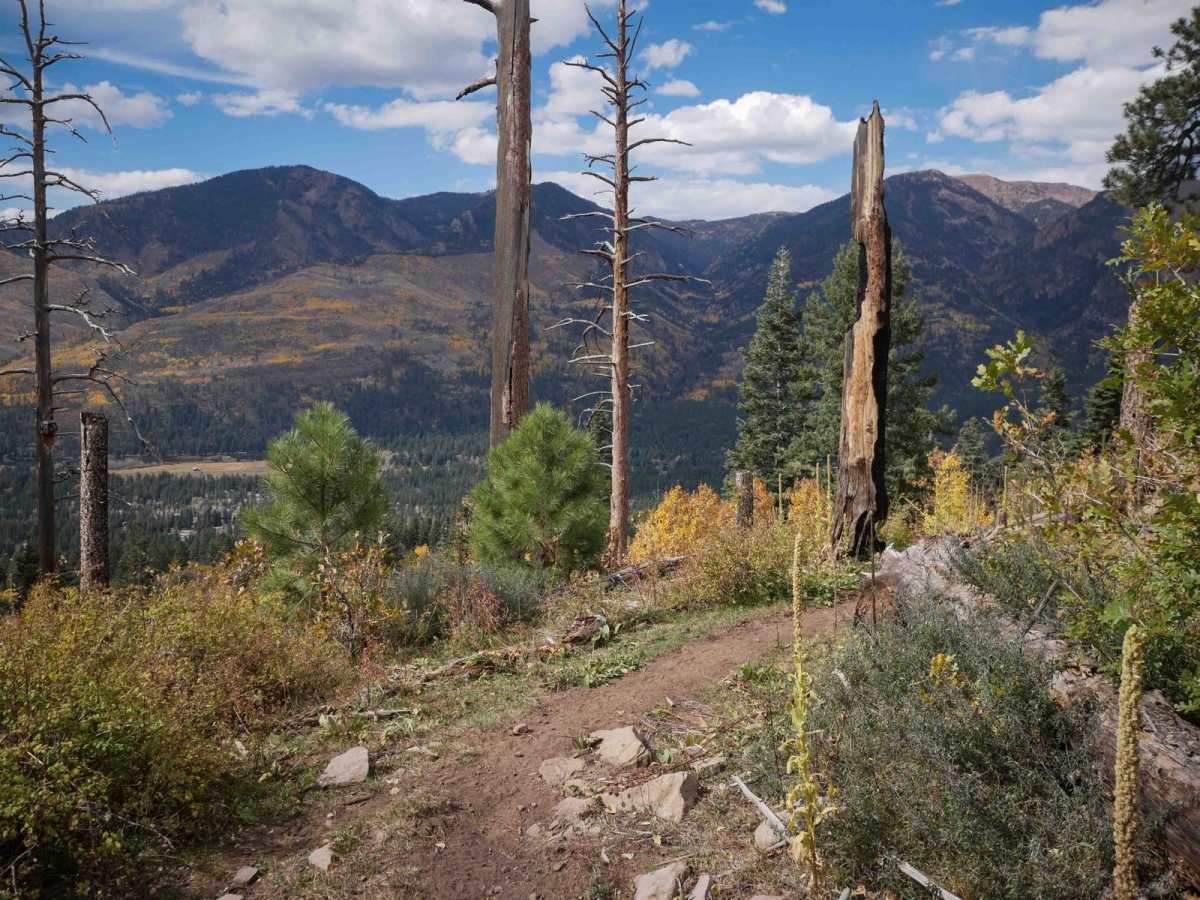 Dark Canyon trail photo