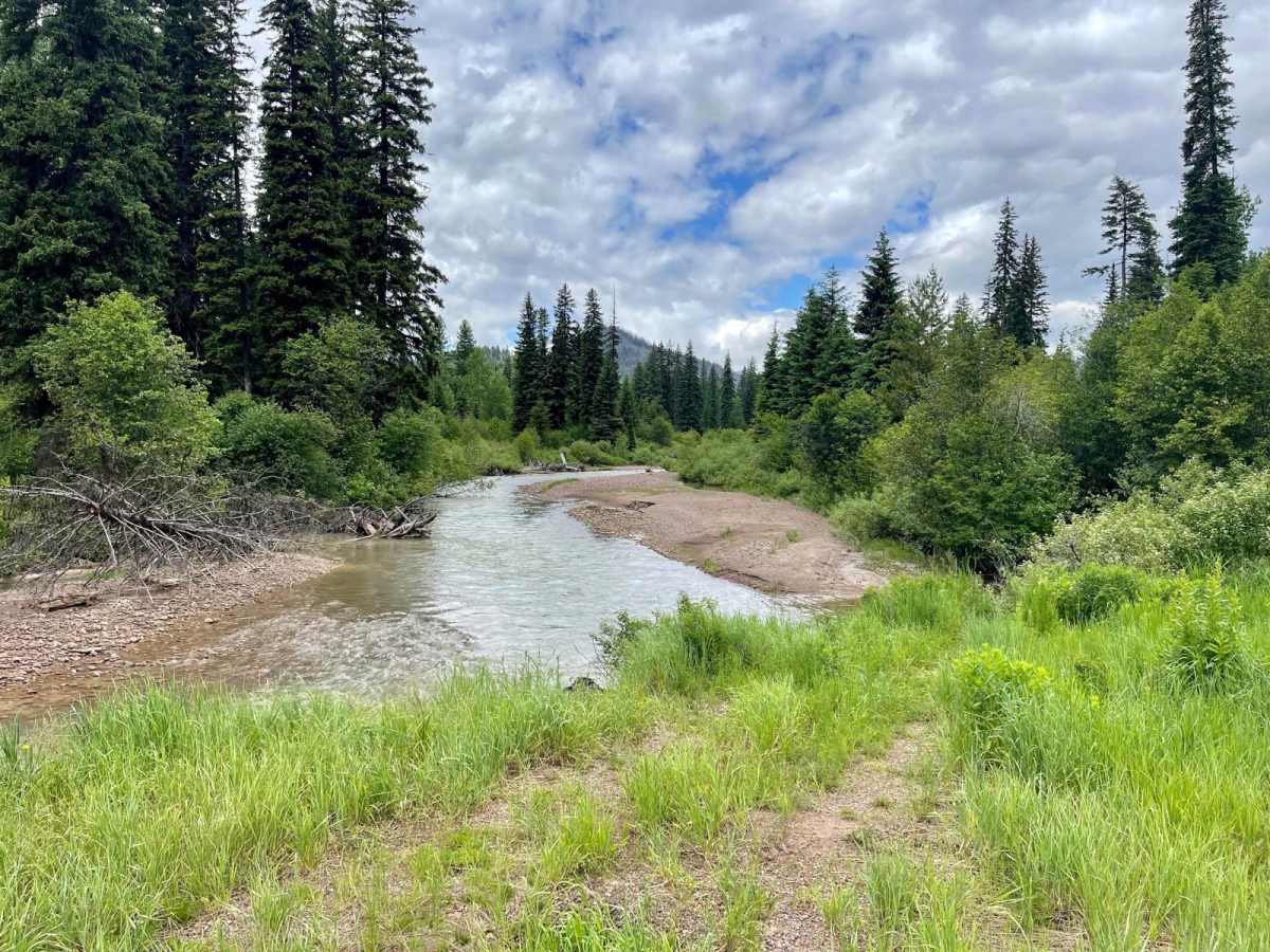 Monture Creek trail photo