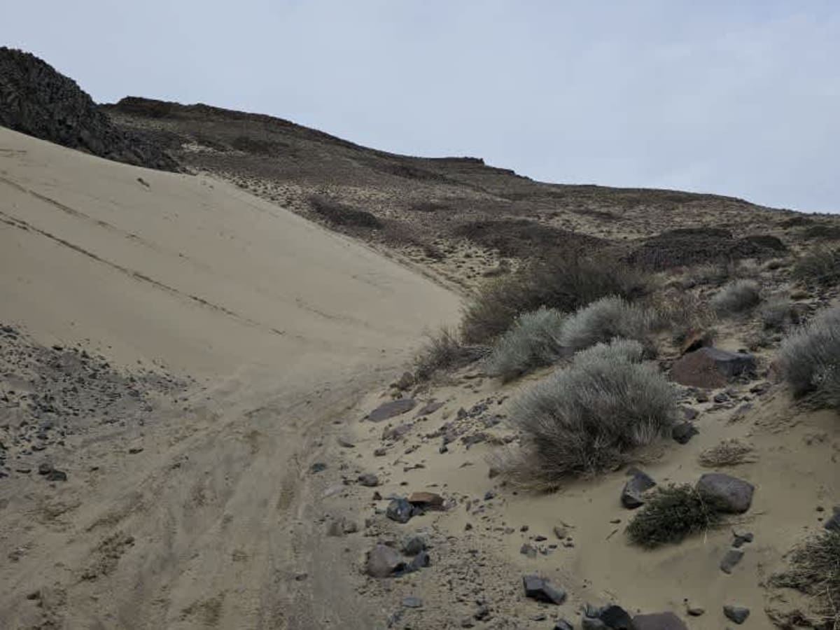 Sandy Saddle photo 6