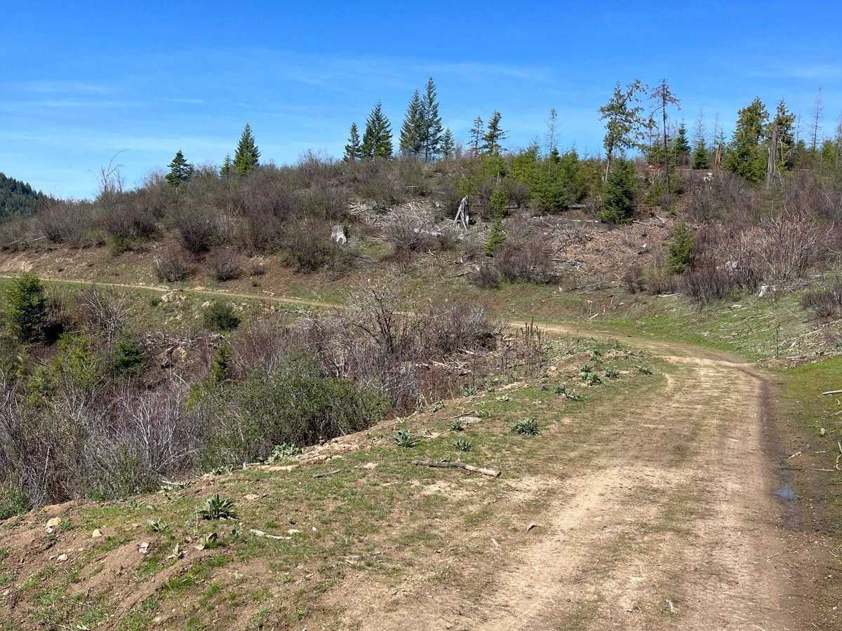 Bing Cherry Trail trail photo