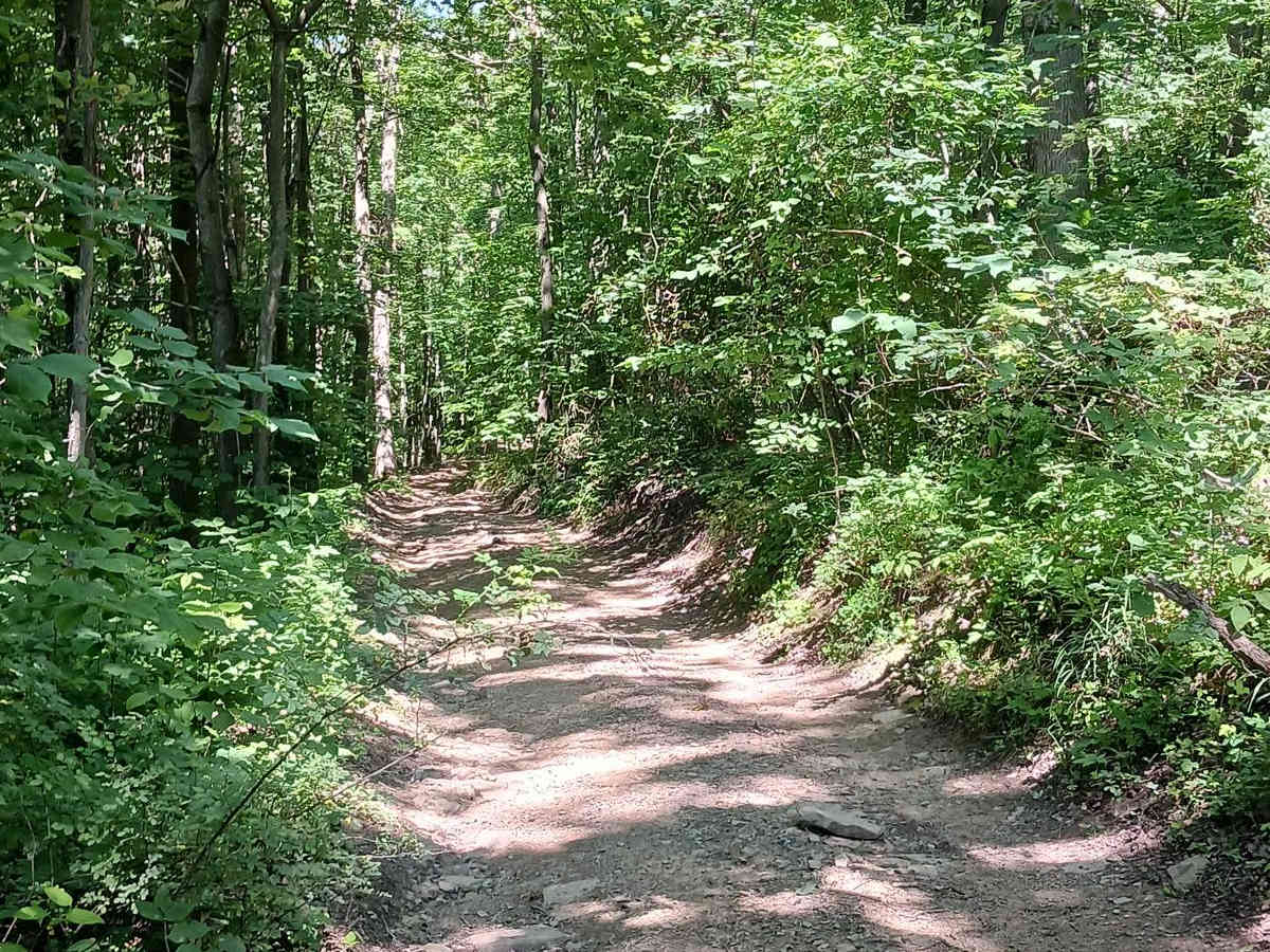 Gas Line Cut Off - Rock Run Recreation Area photo 3