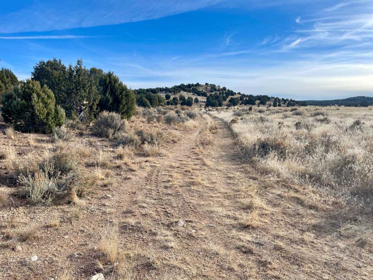 Shoebuckle Road 1059 trail photo