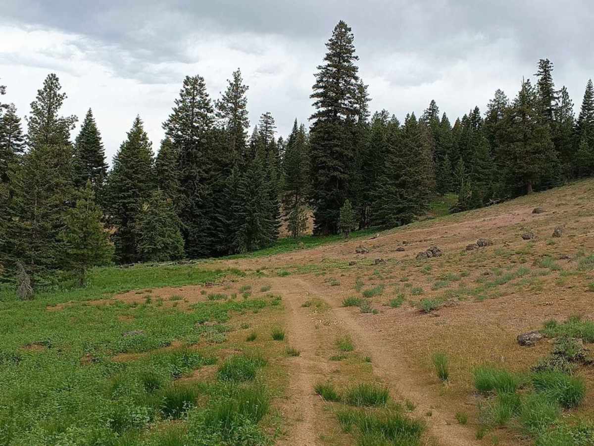 Cottonwood Rd 50199 photo 4