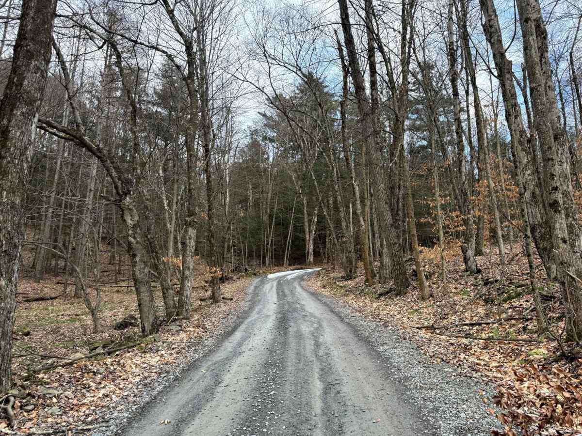 Kelly Road trail photo
