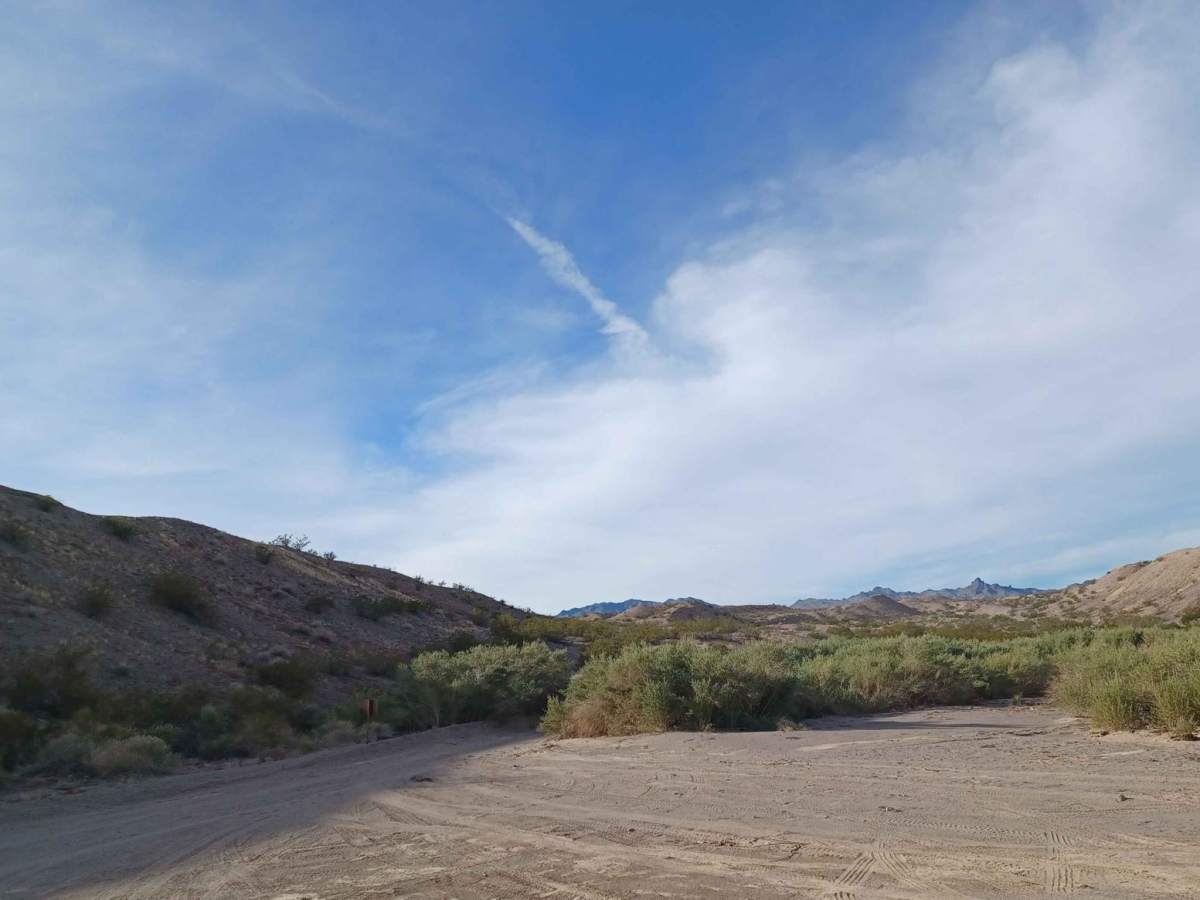 Nine Mile Cove Road photo 6
