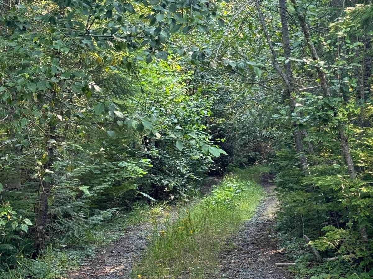 Porcupine Creek photo 4