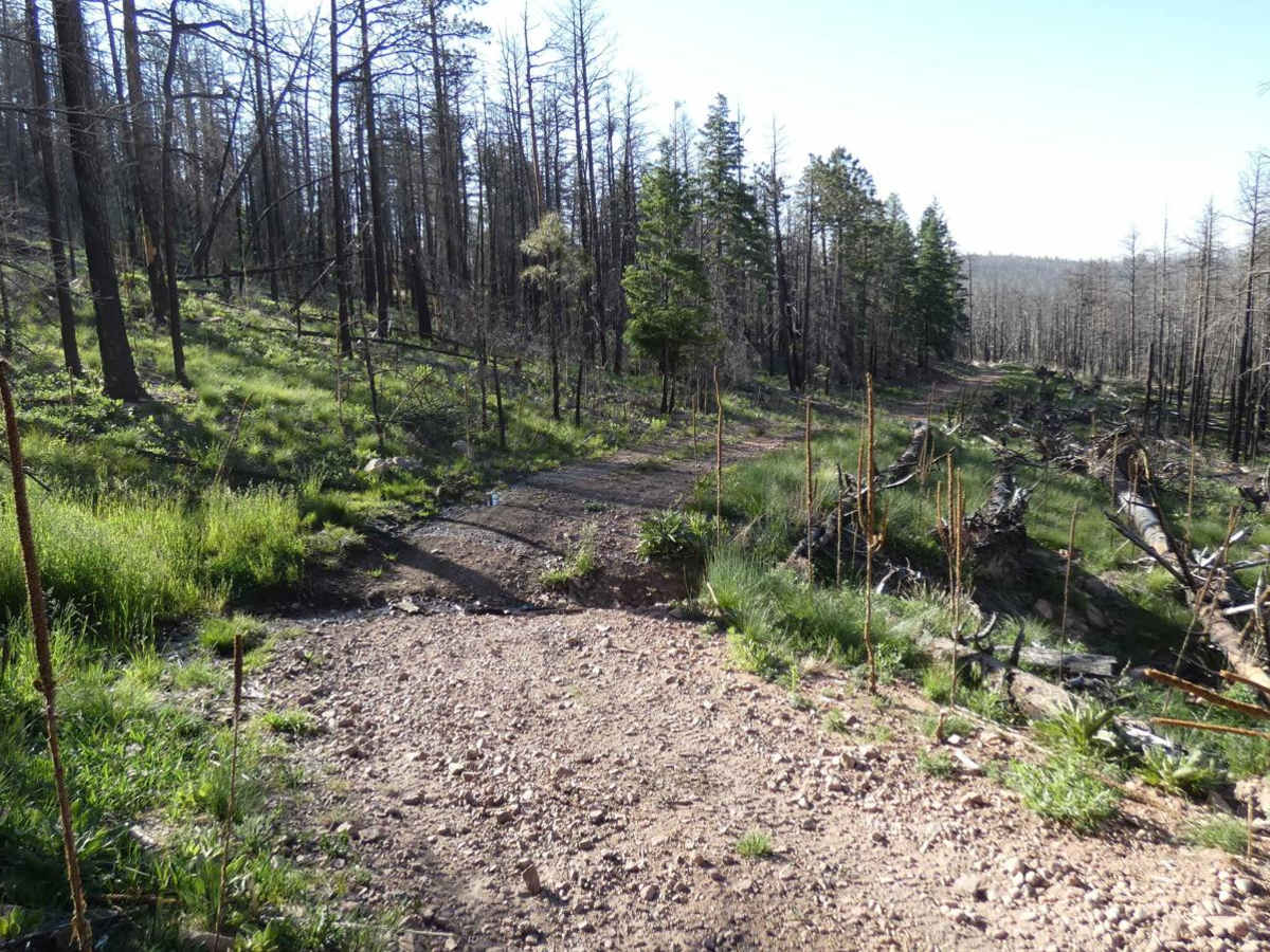 San Geronimo Back Road photo 3
