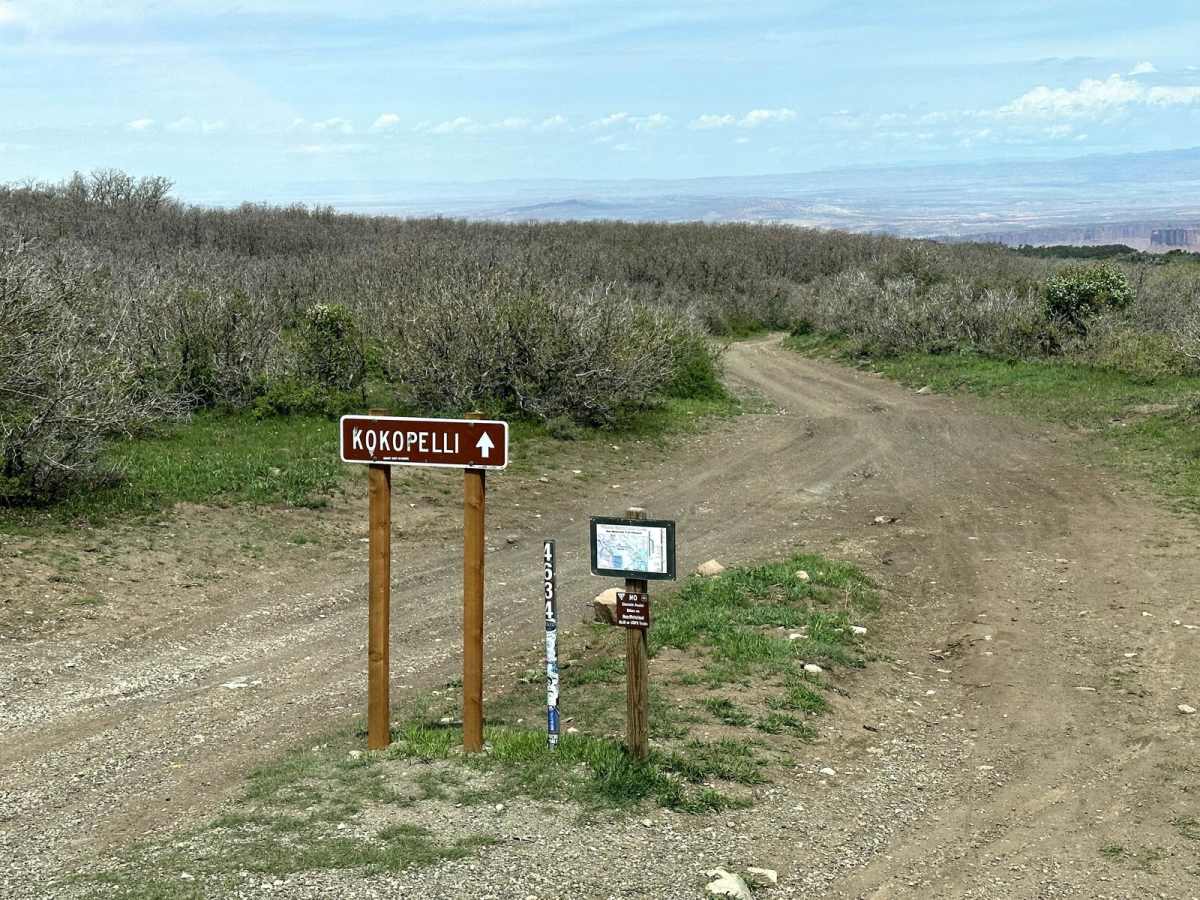 Kokopelli Trail (Castle Valley Overlook to Sand Flats Road) photo 2